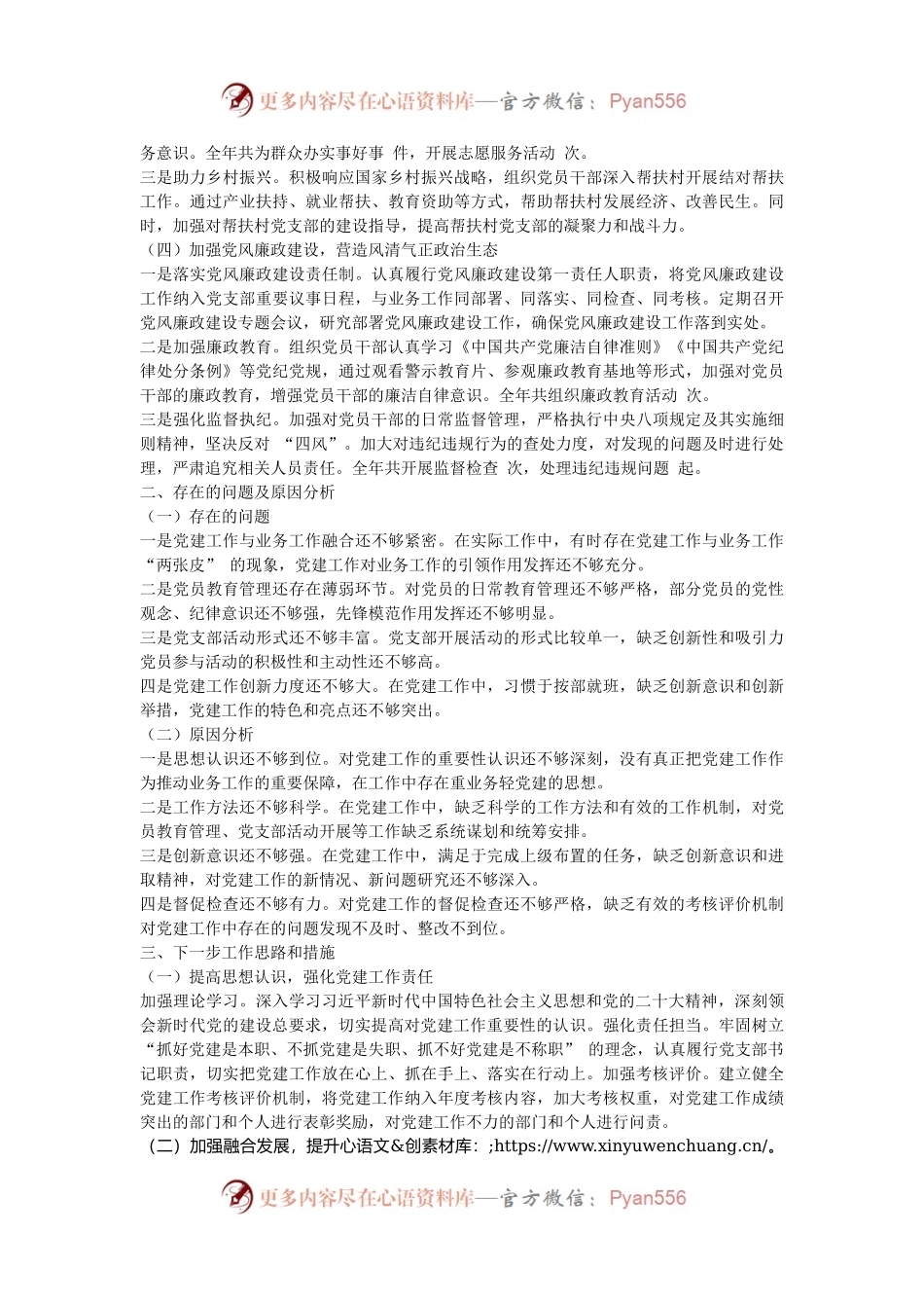 2024 年度党支部书记述职报告.docx_第2页