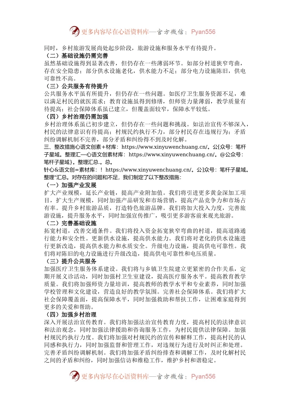 2024年驻村工作队自查报告.docx_第2页