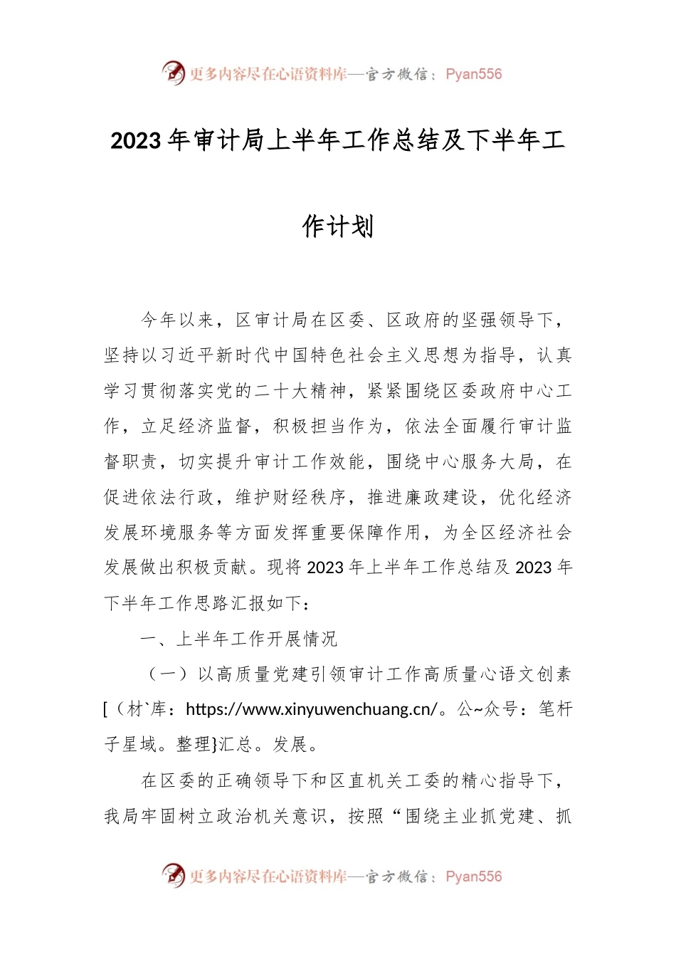 2023年审计局上半年工作总结及下半年工作计划.docx_第1页