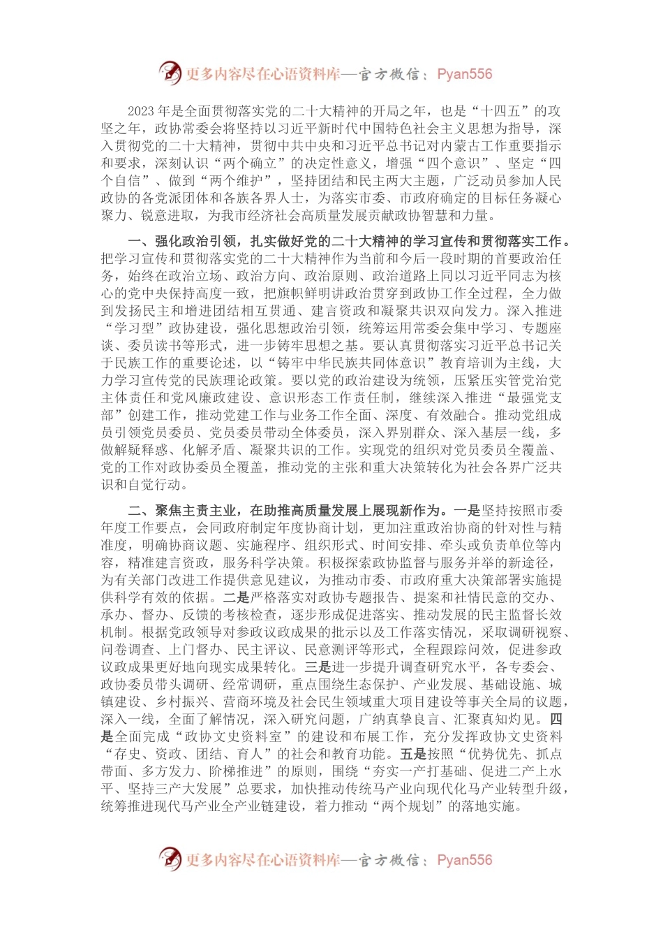 2023年市政协工作安排.docx_第1页
