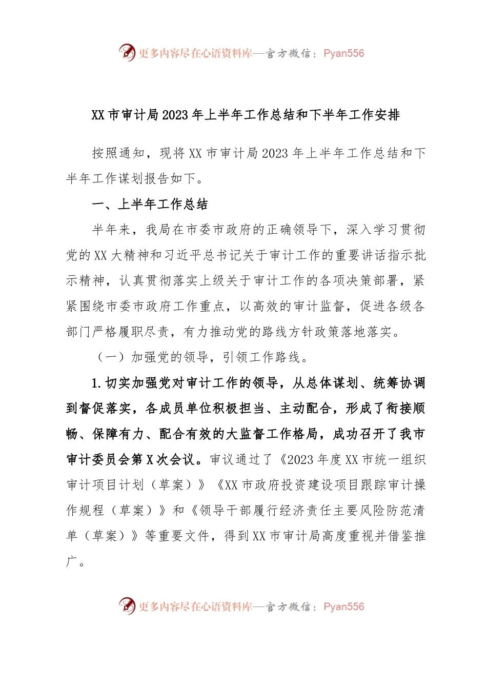 XX市审计局2023年上半年工作总结和下半年工作安排.docx_第1页