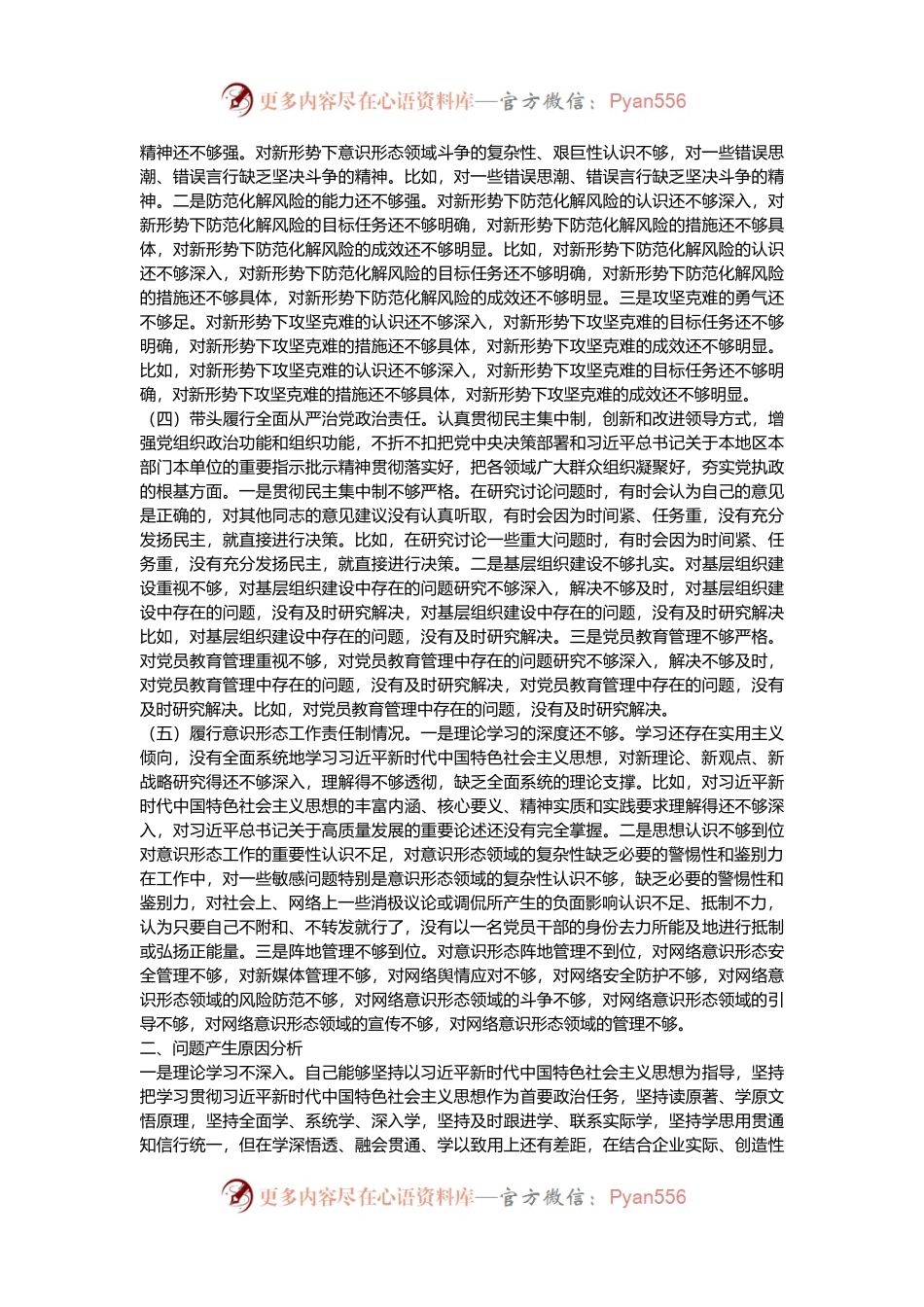 2024年班子成员民主生活会个人对照检查剖析材料.docx_第2页