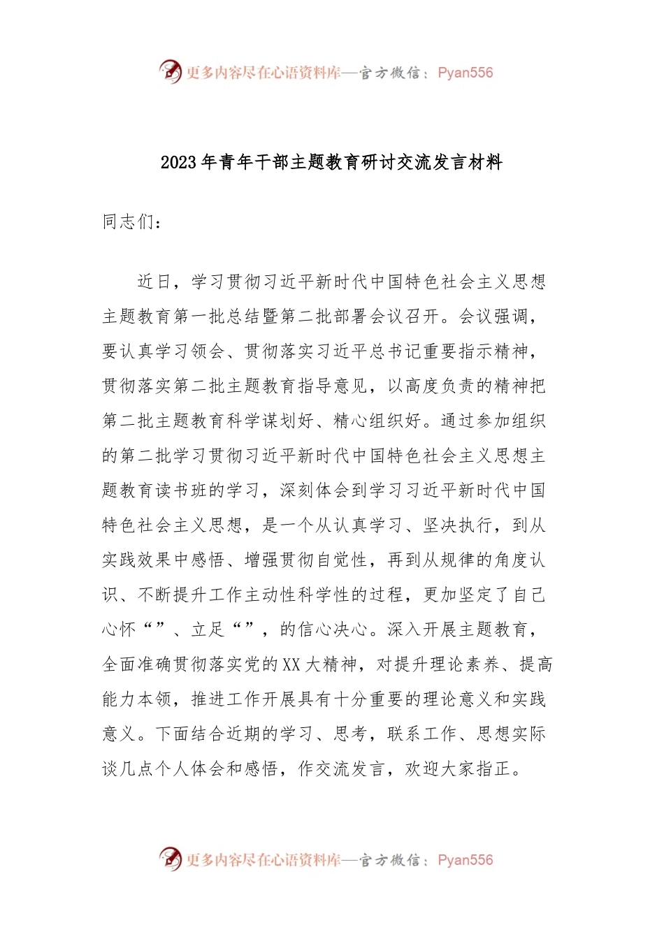 2023年青年干部主题教育研讨交流发言材料.docx_第1页