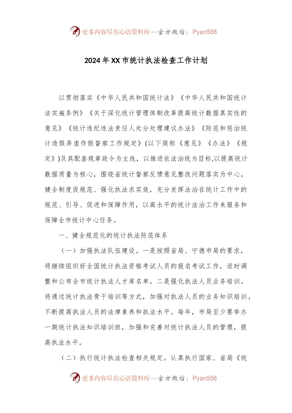 2024年XX市统计执法检查工作计划.docx_第1页