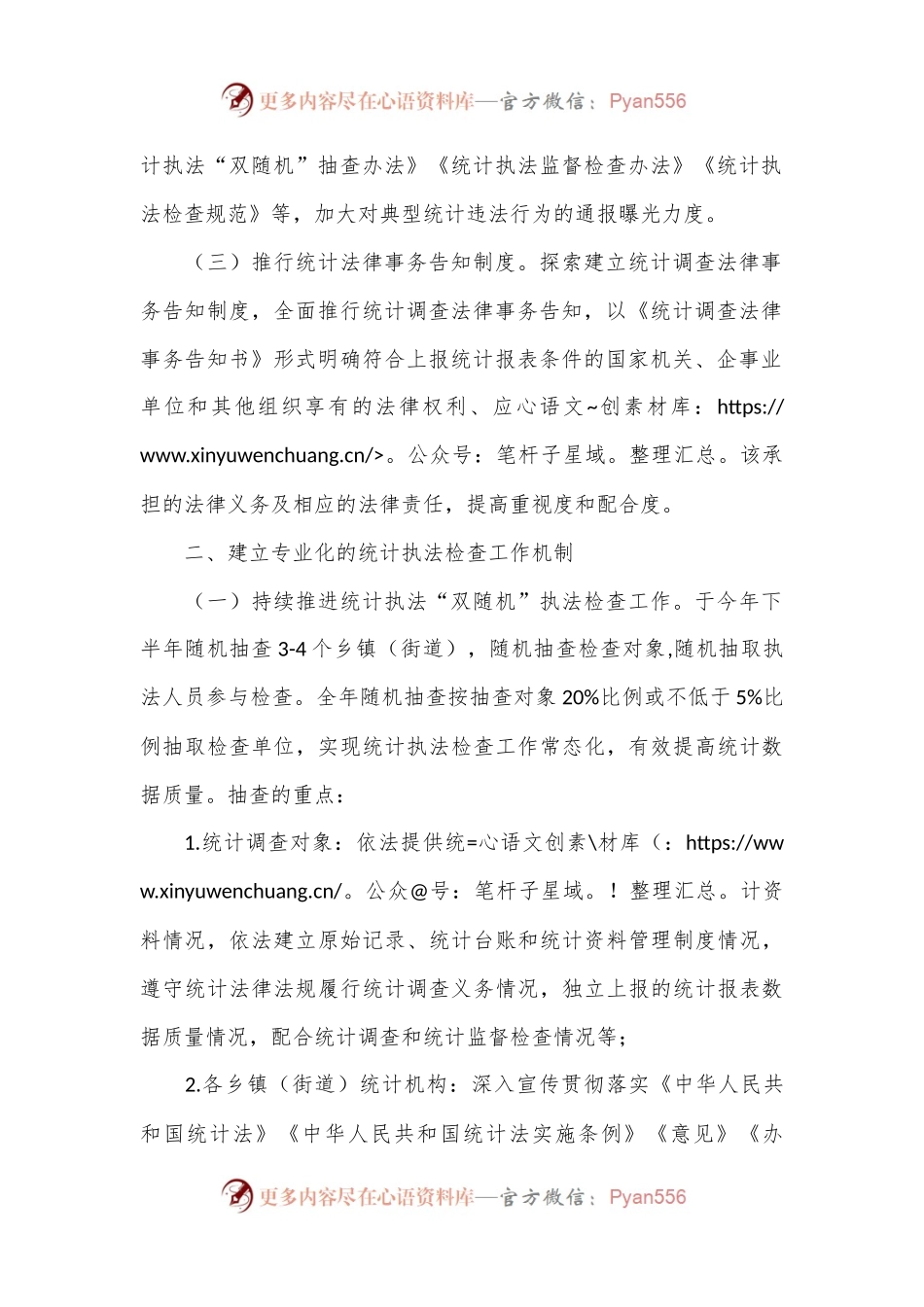 2024年XX市统计执法检查工作计划.docx_第2页