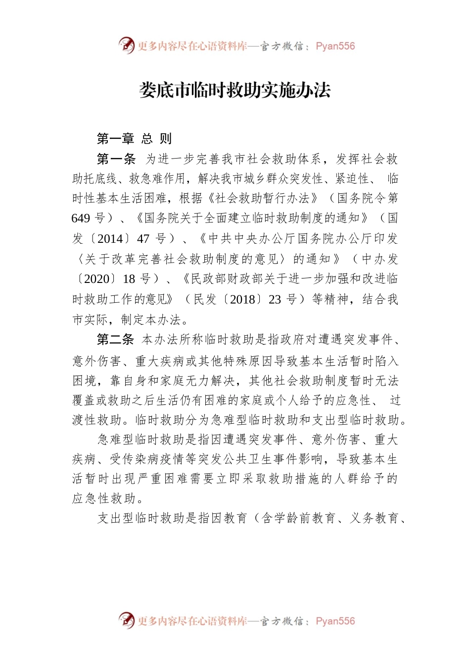 XX市临时救助实施办法.docx_第1页