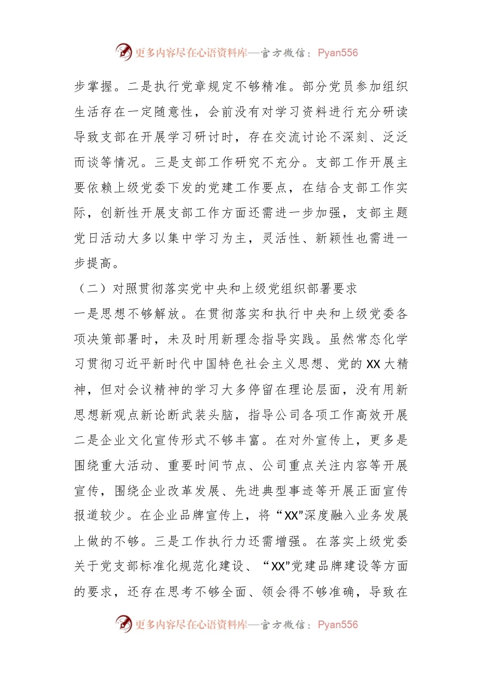 XX公司党支部委员会在本年度组织生活会对照检查材料.docx_第2页
