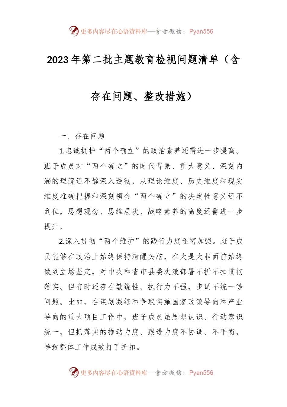 2023年第二批主题教育检视问题清单（含存在问题、整改措施）.docx_第1页