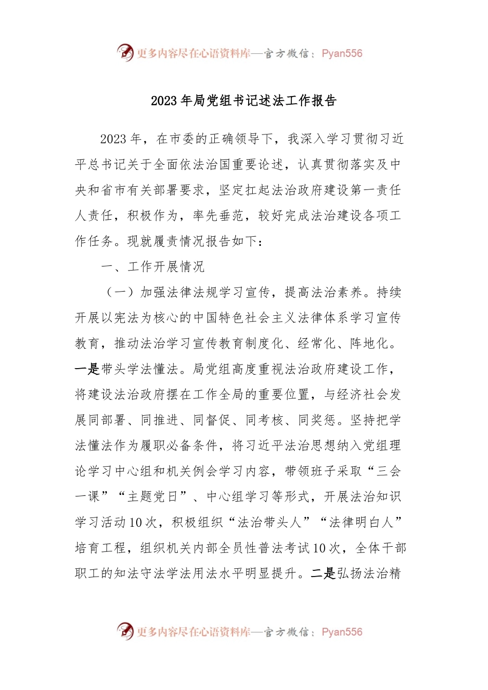 2023年局党组书记述法工作报告.docx_第1页