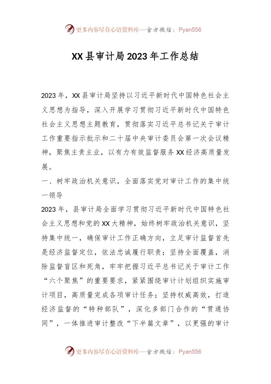 XX县审计局2023年工作总结.docx_第1页
