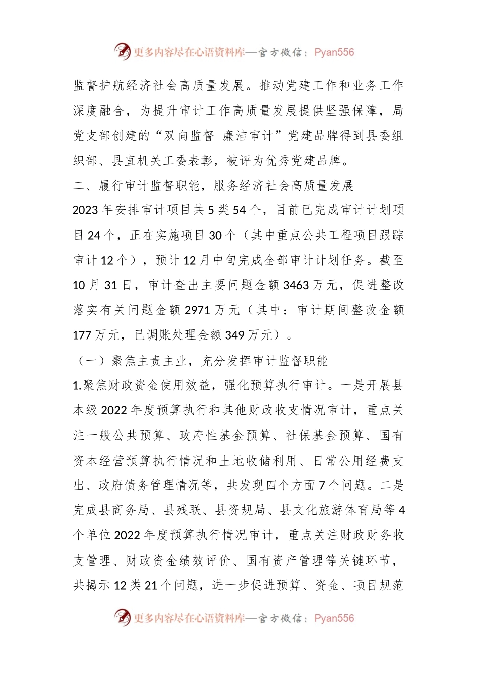 XX县审计局2023年工作总结.docx_第2页