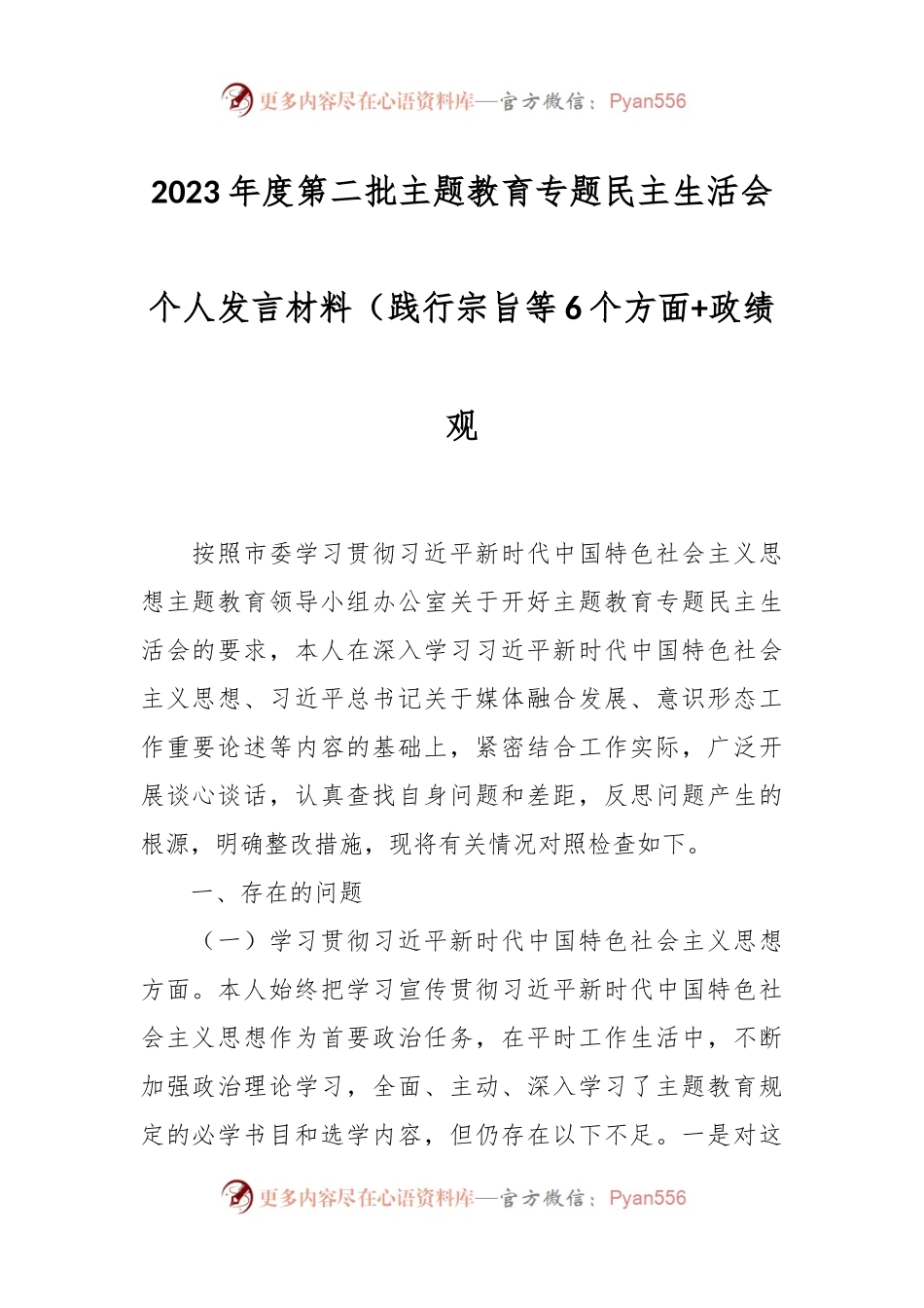 2023年度第二批主题教育专题民主生活会个人发言稿材料（践行宗旨等6个方面+政绩观）.docx_第1页