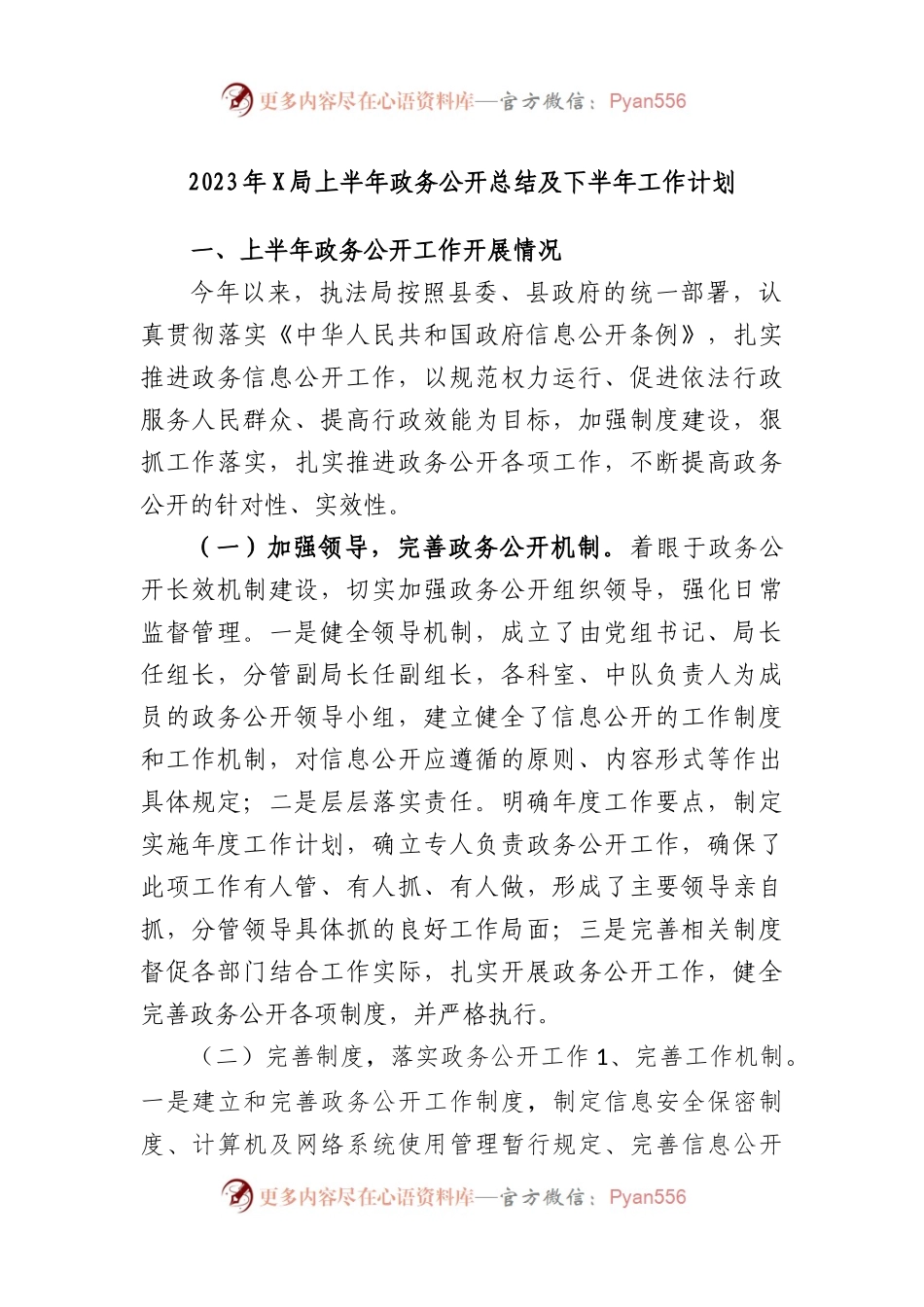 2023年局上半年政务公开总结及下半年工作计划.docx_第1页