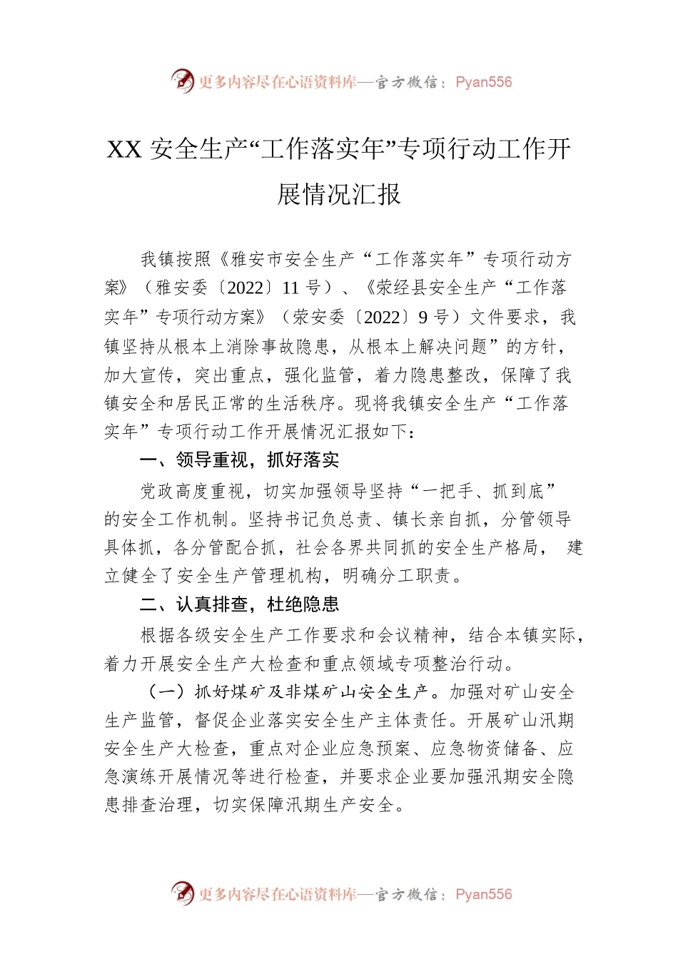 XX安全生产“工作落实年”专项行动工作开展情况汇报.docx_第1页