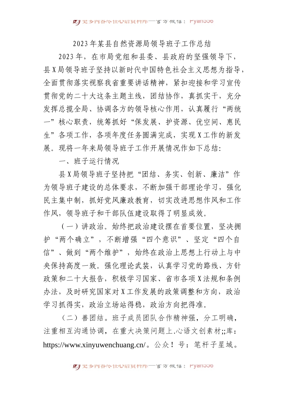2023年某县自然资源局领导班子工作总结.docx_第1页