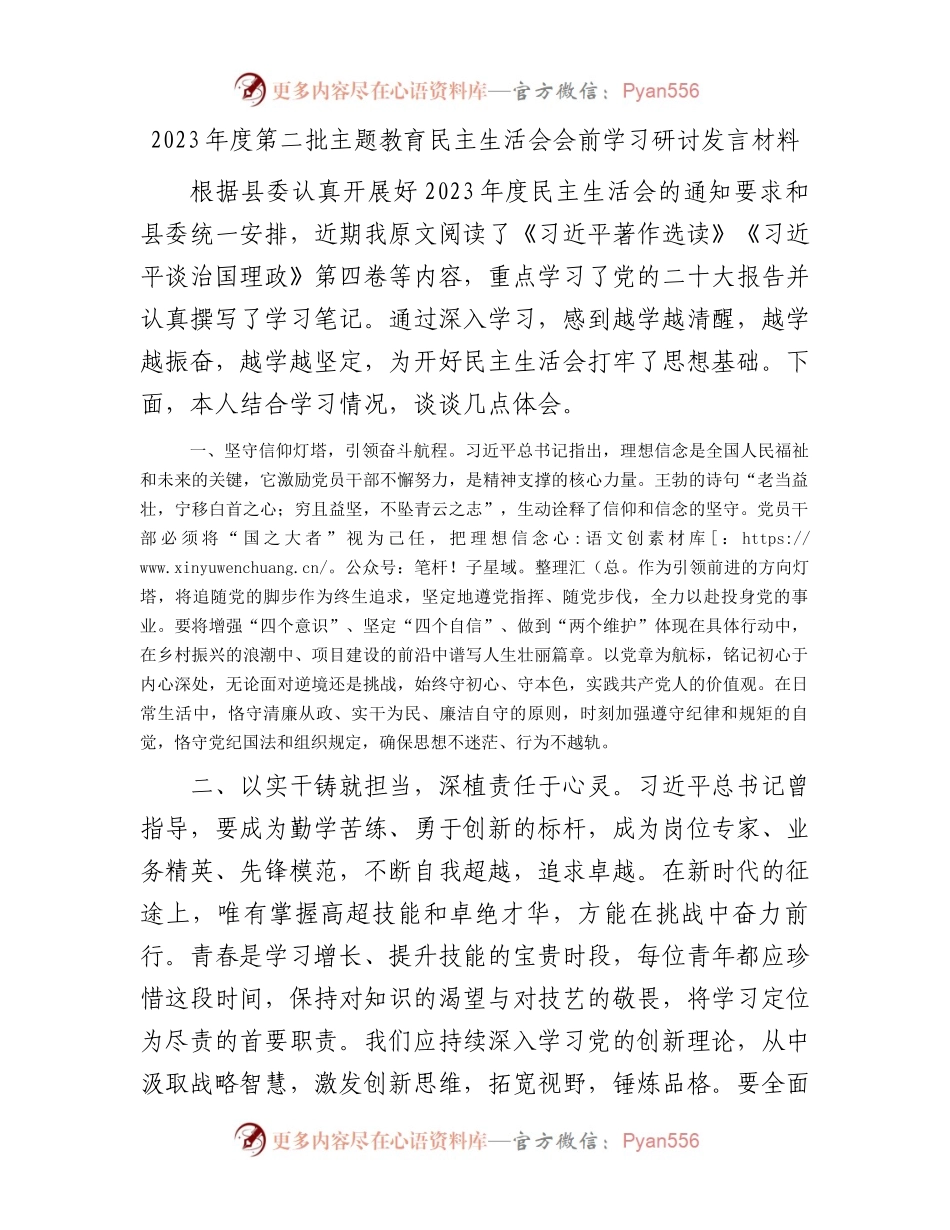2023年度第二批主题教育民主生活会会前学习研讨发言材料(1).docx_第1页