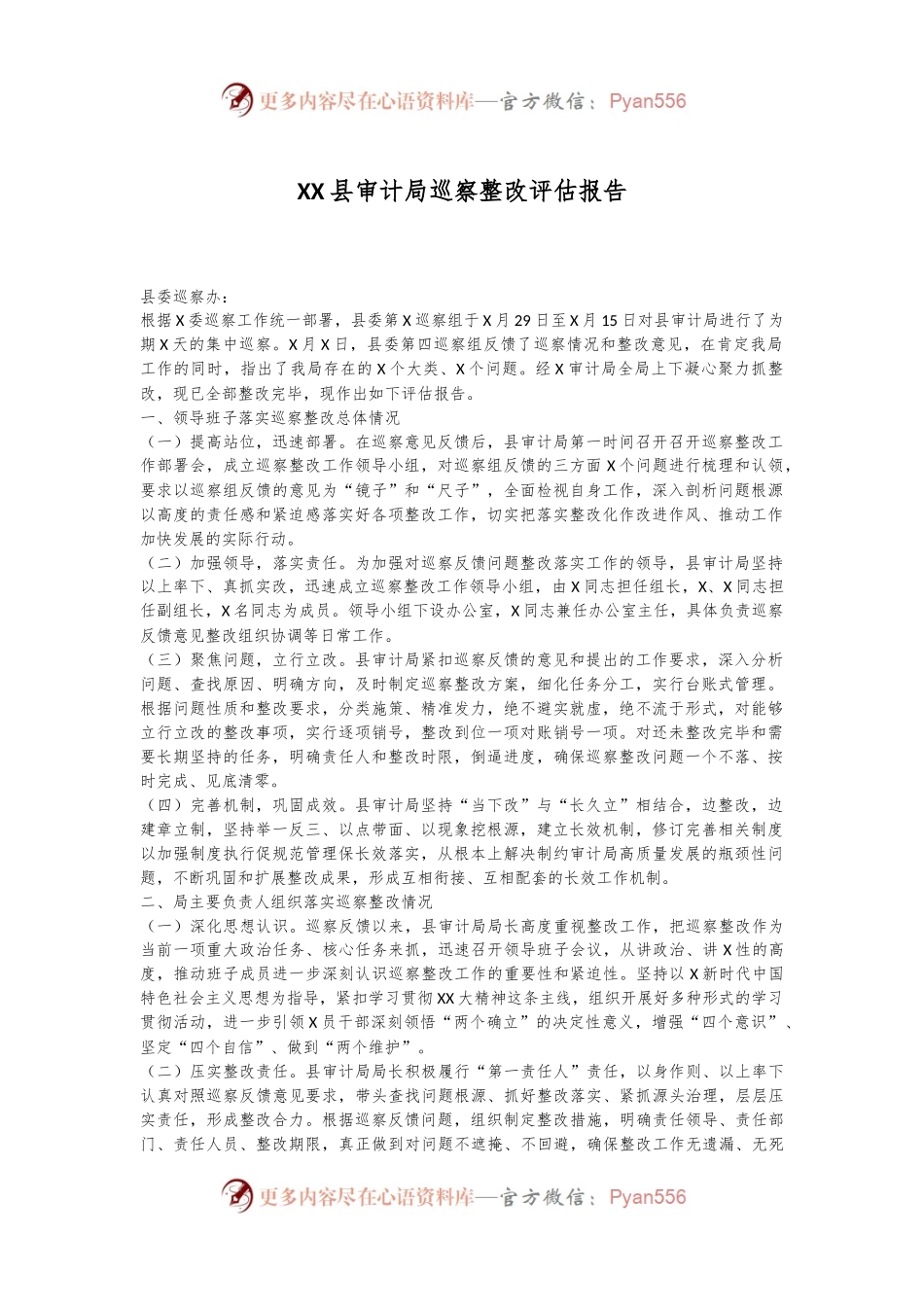 XX县审计局巡察整改评估报告.docx_第1页