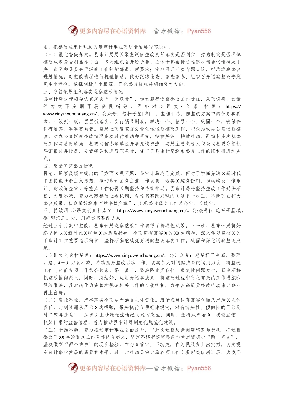 XX县审计局巡察整改评估报告.docx_第2页