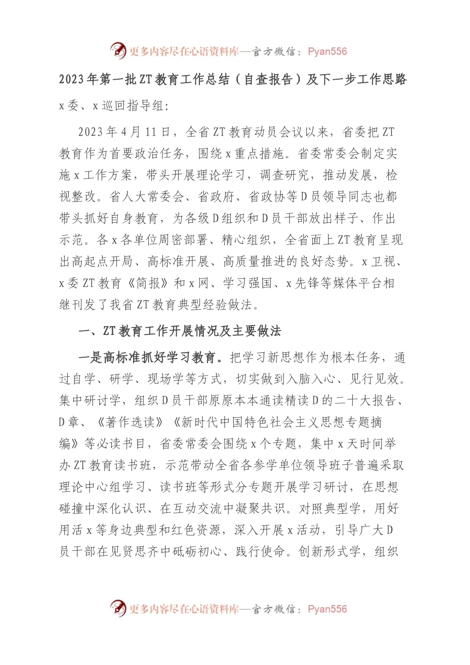 2023年第一批主题教育工作总结（自查报告）及下一步工作思路.docx_第1页
