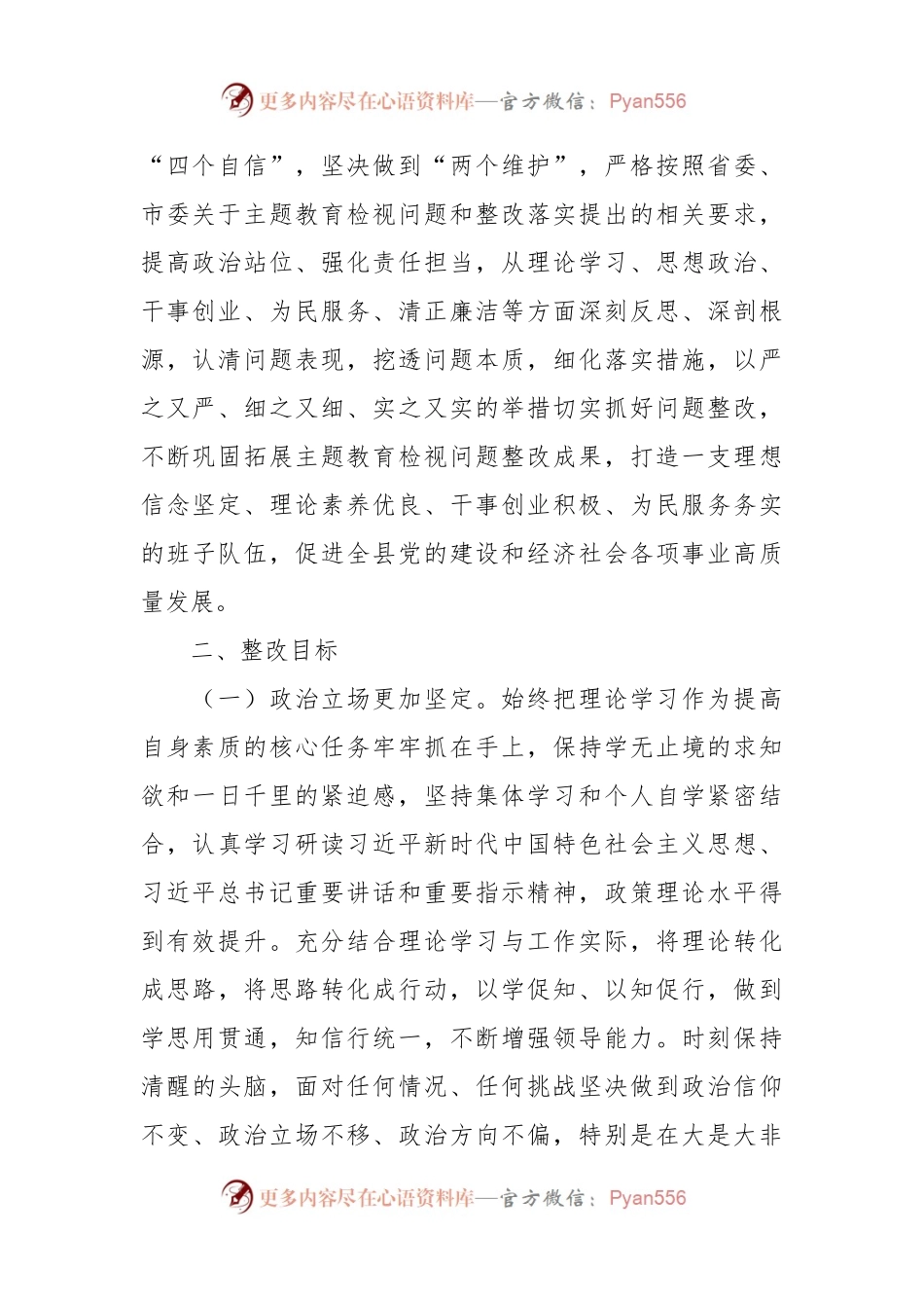 2023年度主题教育专题民主生活会班子检视问题整改方案.docx_第2页
