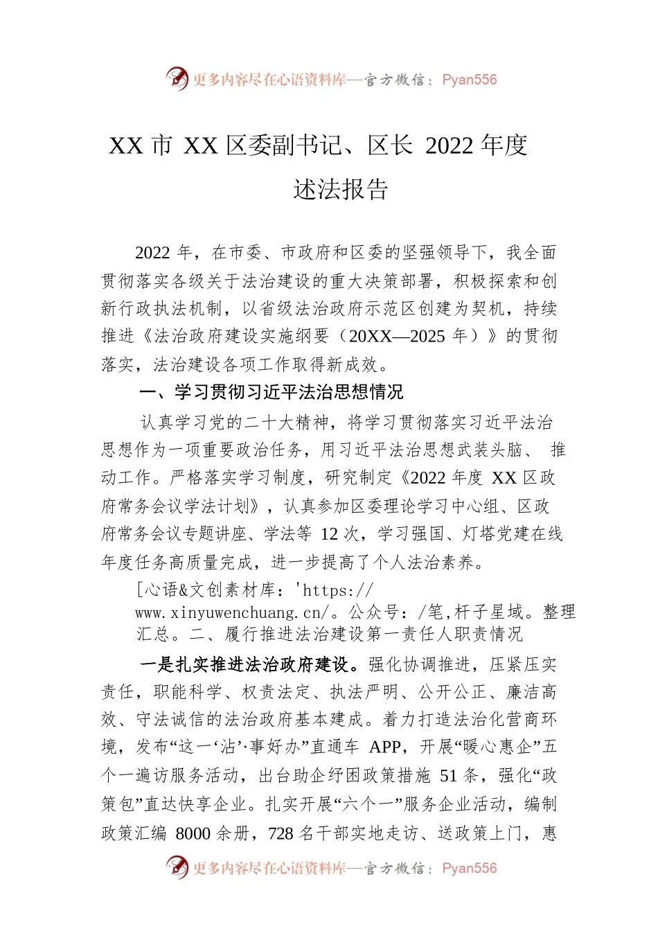 XX市XX区委副书记、区长2022年度述法报告（20221115）.docx_第1页