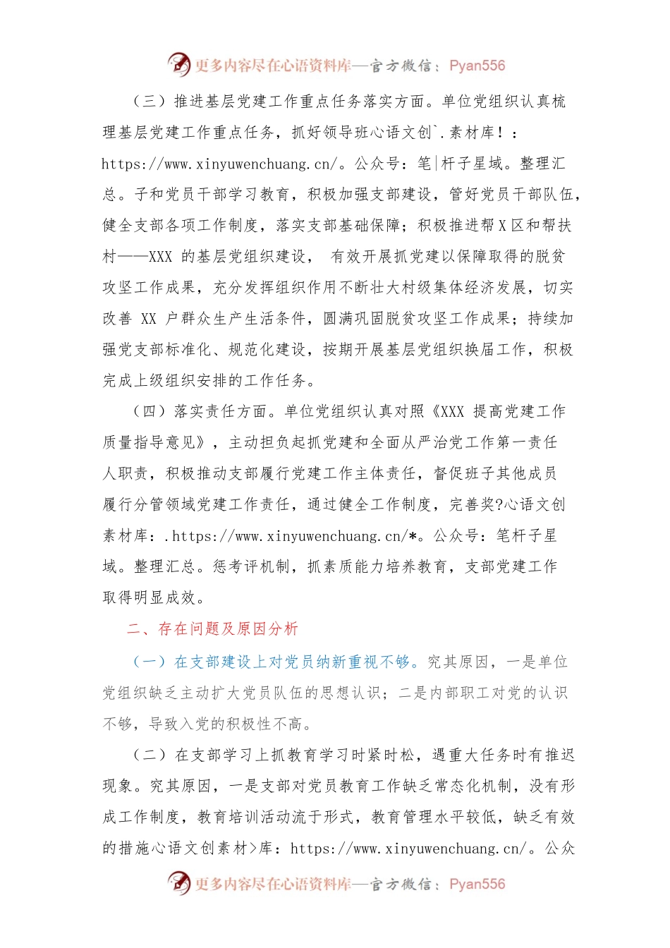 202X年度XX局长抓党建工作述职报告.docx_第2页