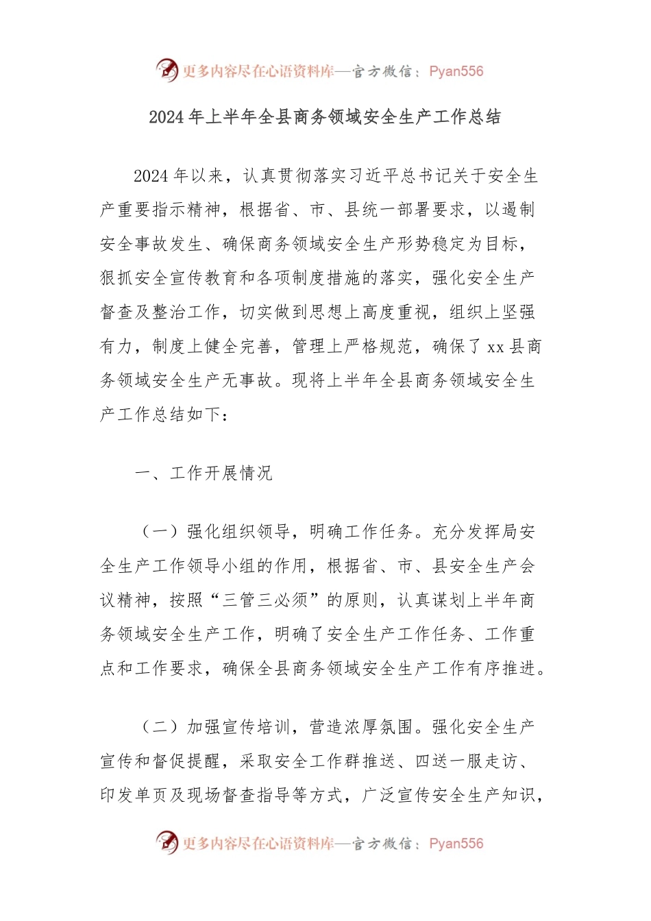 2024年上半年全县商务领域安全生产工作总结.docx_第1页