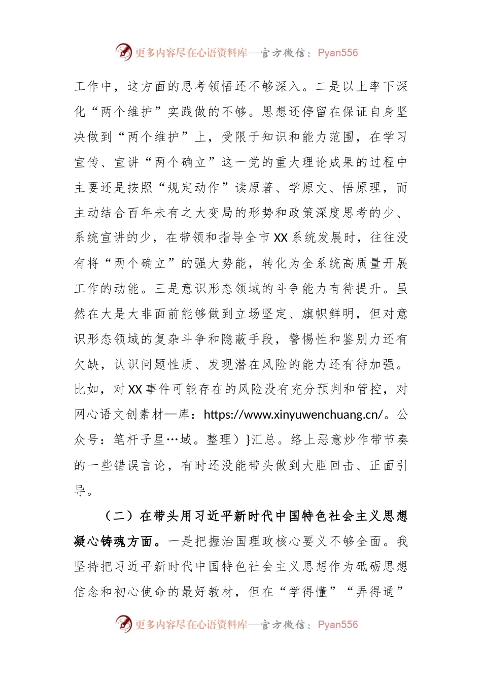 XX市局书记2022年度民主生活会对照检查材料.docx_第2页
