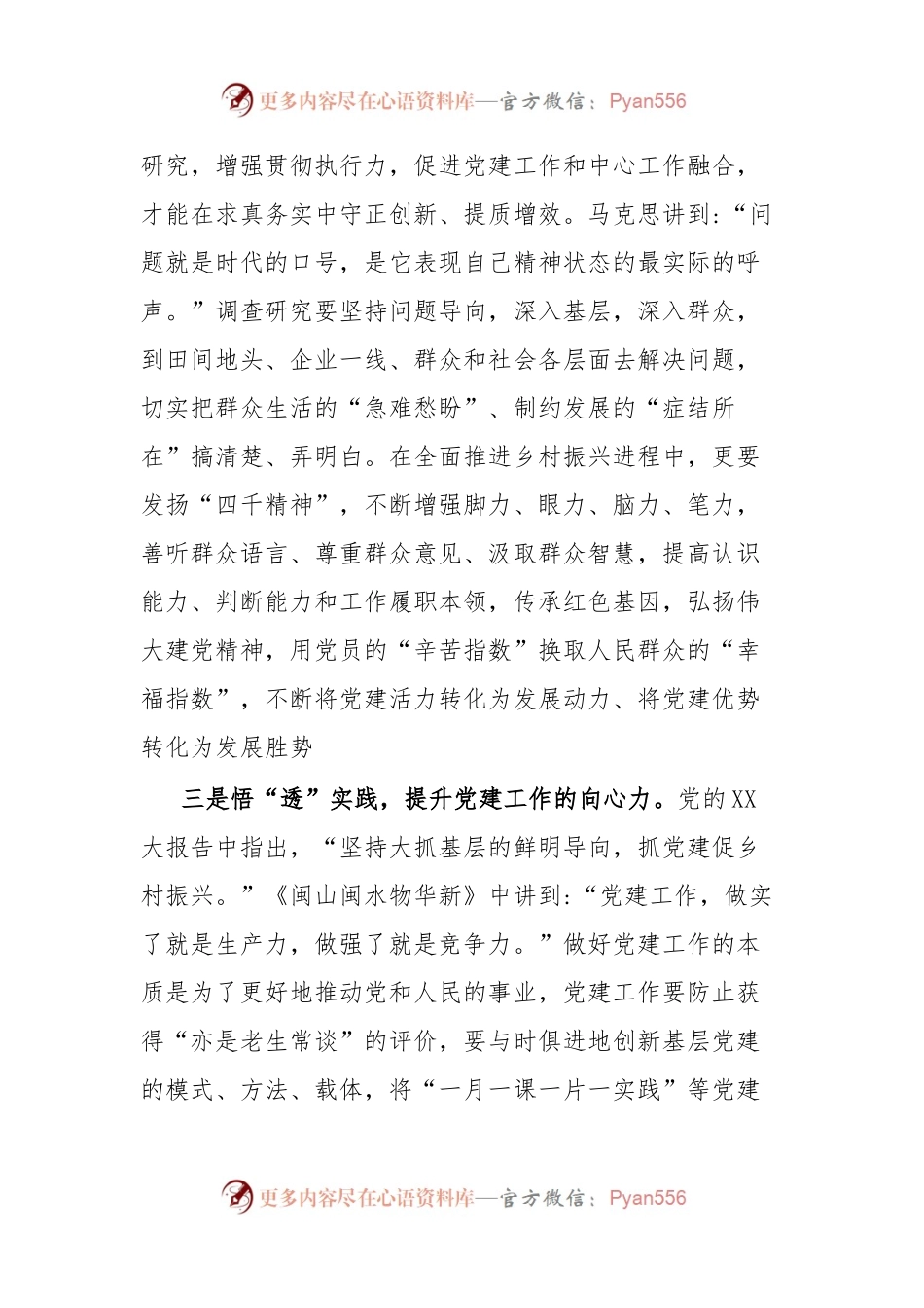 8月党课稿以党建之“炬”点燃全面推进乡村振兴“动力擎”.docx_第2页