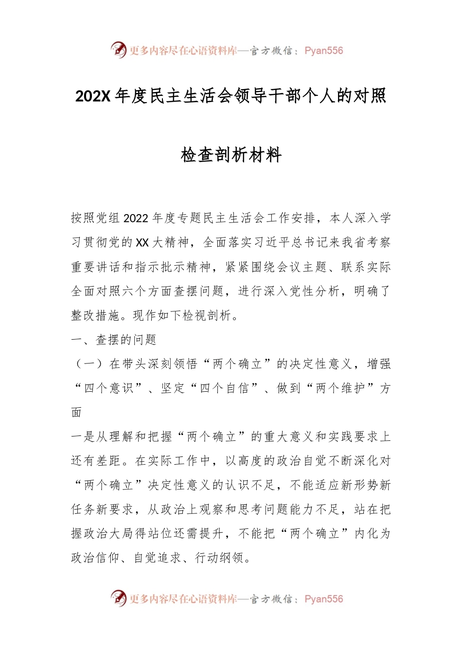 202X年度民主生活会领导干部个人的对照检查剖析材料.docx_第1页