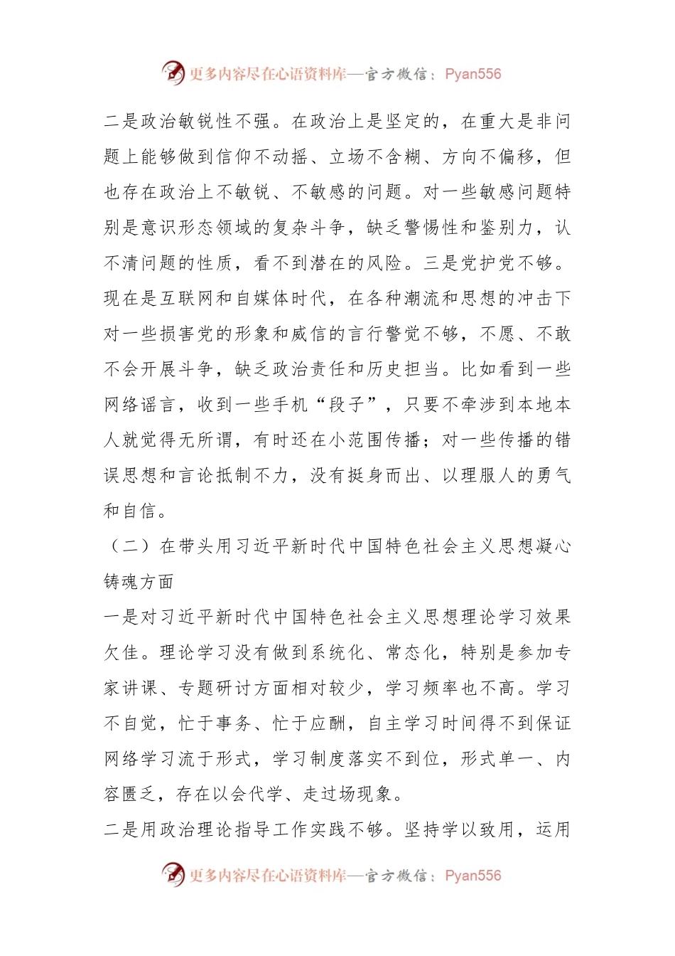 202X年度民主生活会领导干部个人的对照检查剖析材料.docx_第2页