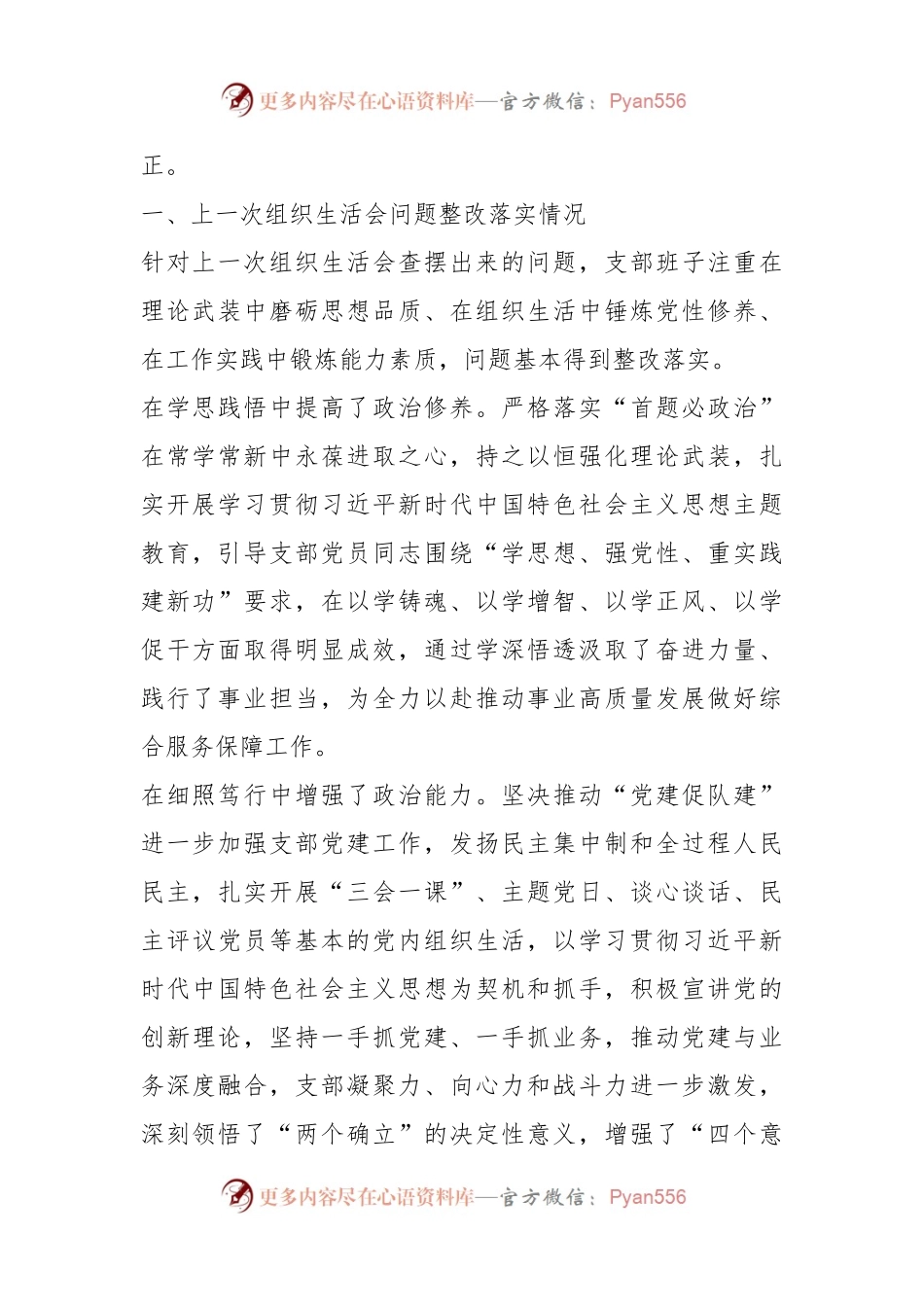 2023年的主题教育组织生活会党支部对照检查材料.docx_第2页