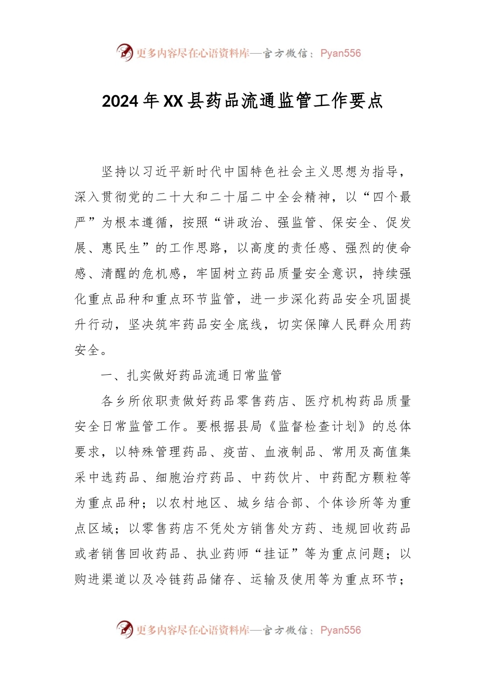 2024年XX县药品流通监管工作要点.docx_第1页