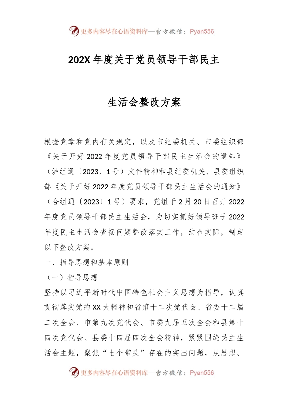 202X年度关于党员领导干部民主生活会整改方案.docx_第1页
