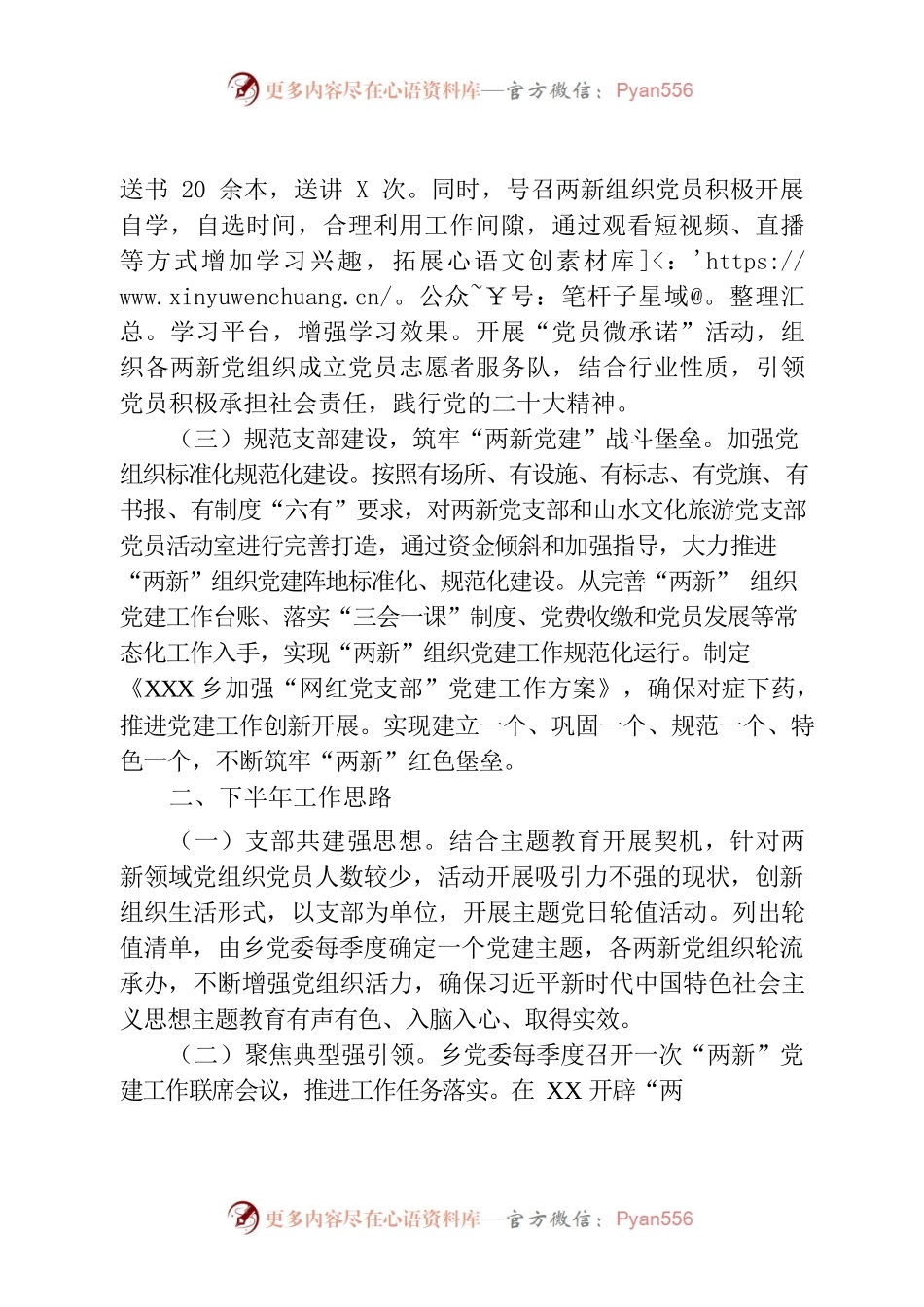 XX乡“两新”党建上半年工作总结及下半年工作思路.docx_第2页