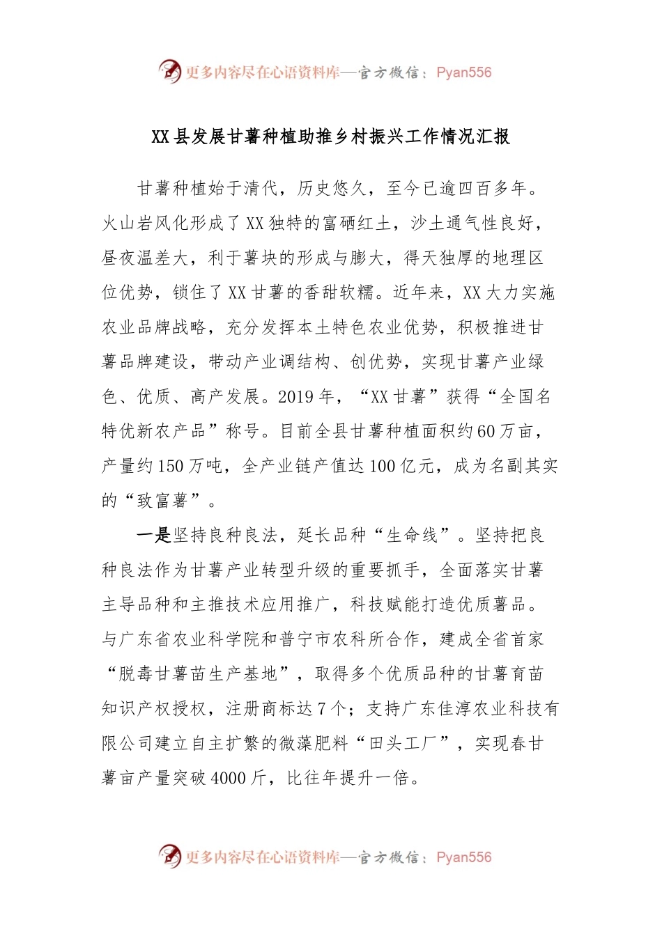 XX县发展甘薯种植助推乡村振兴工作情况汇报.docx_第1页
