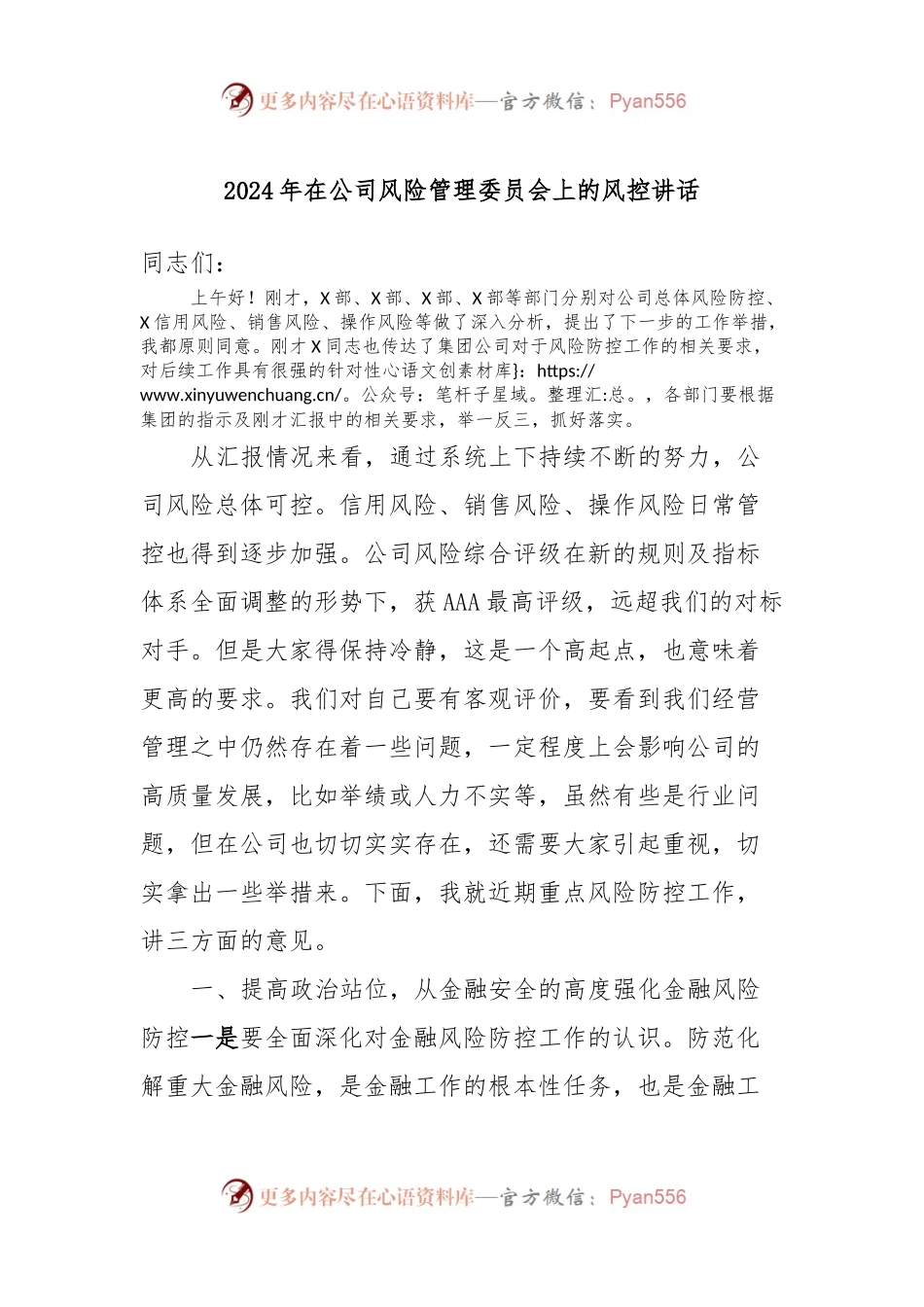 2024年在公司风险管理委员会上的风控讲话.docx_第1页