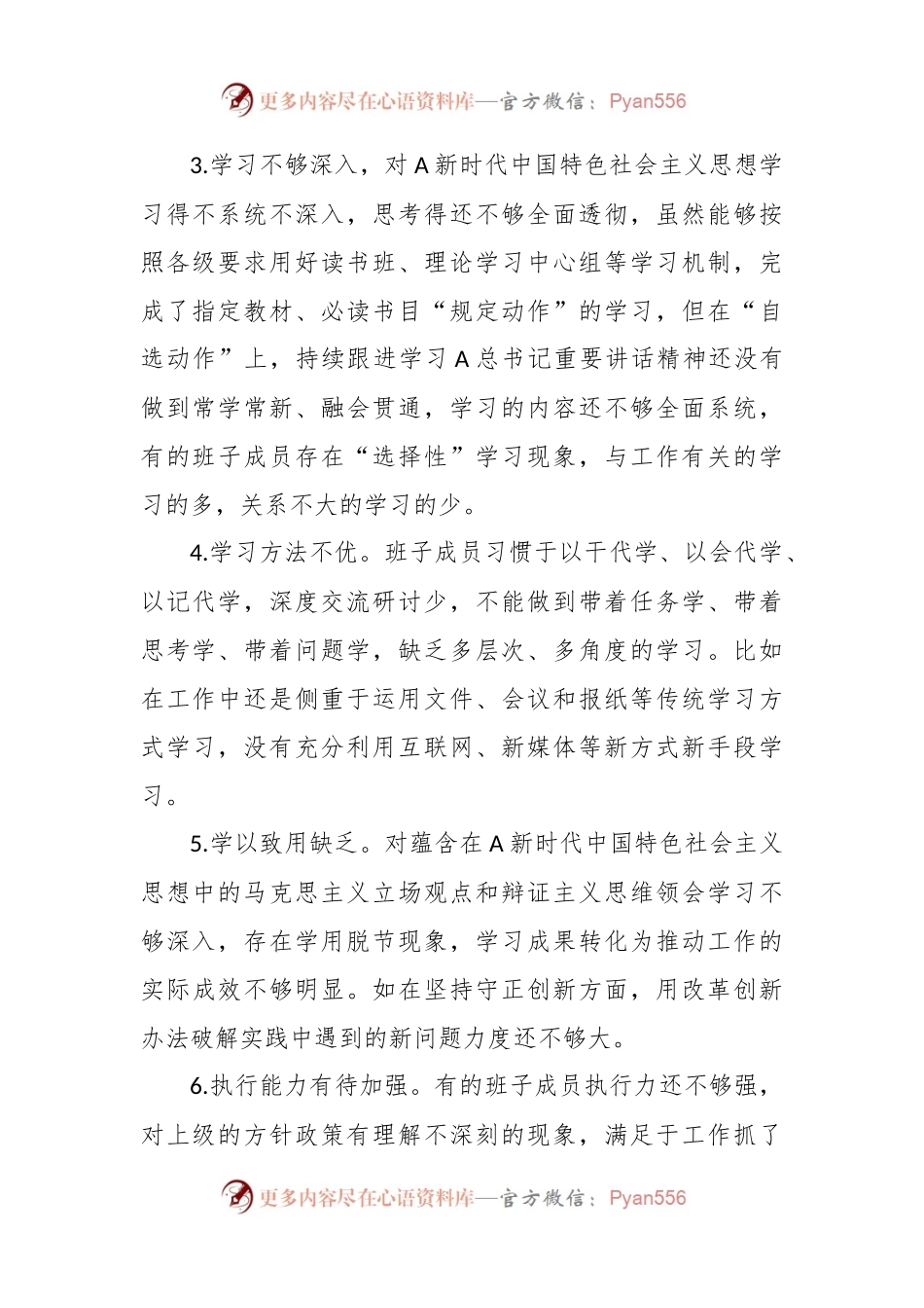 2023年度主题教育班子成员对照检查、检视剖析问题清单(20条).docx_第2页