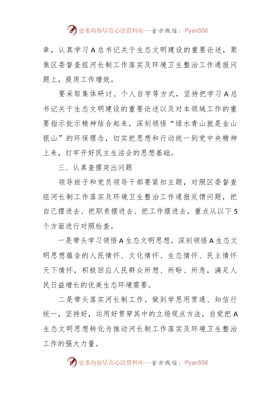 2023年镇党委领导班子河长制工作落实及环境卫生整治工作专题民主生活会.docx_第2页