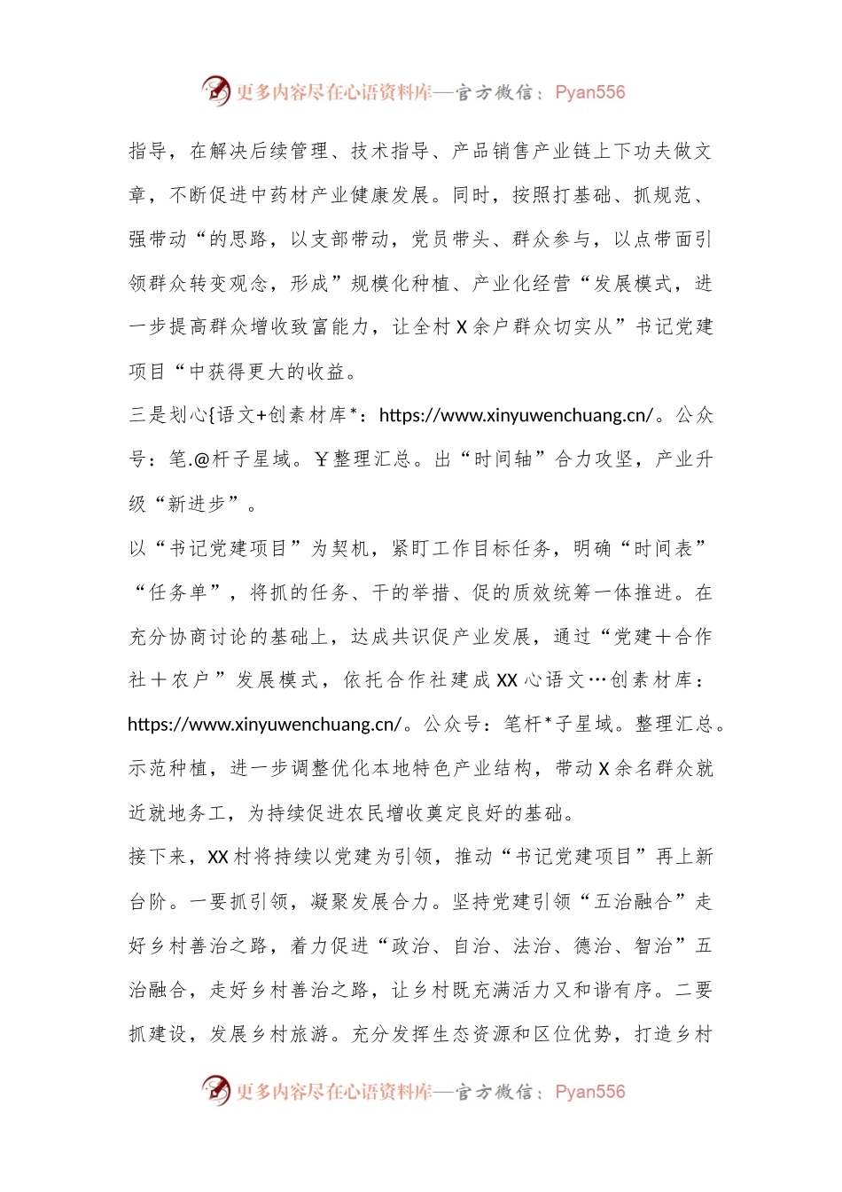 2024年村开展“书记党建项目”情况汇报.docx_第2页
