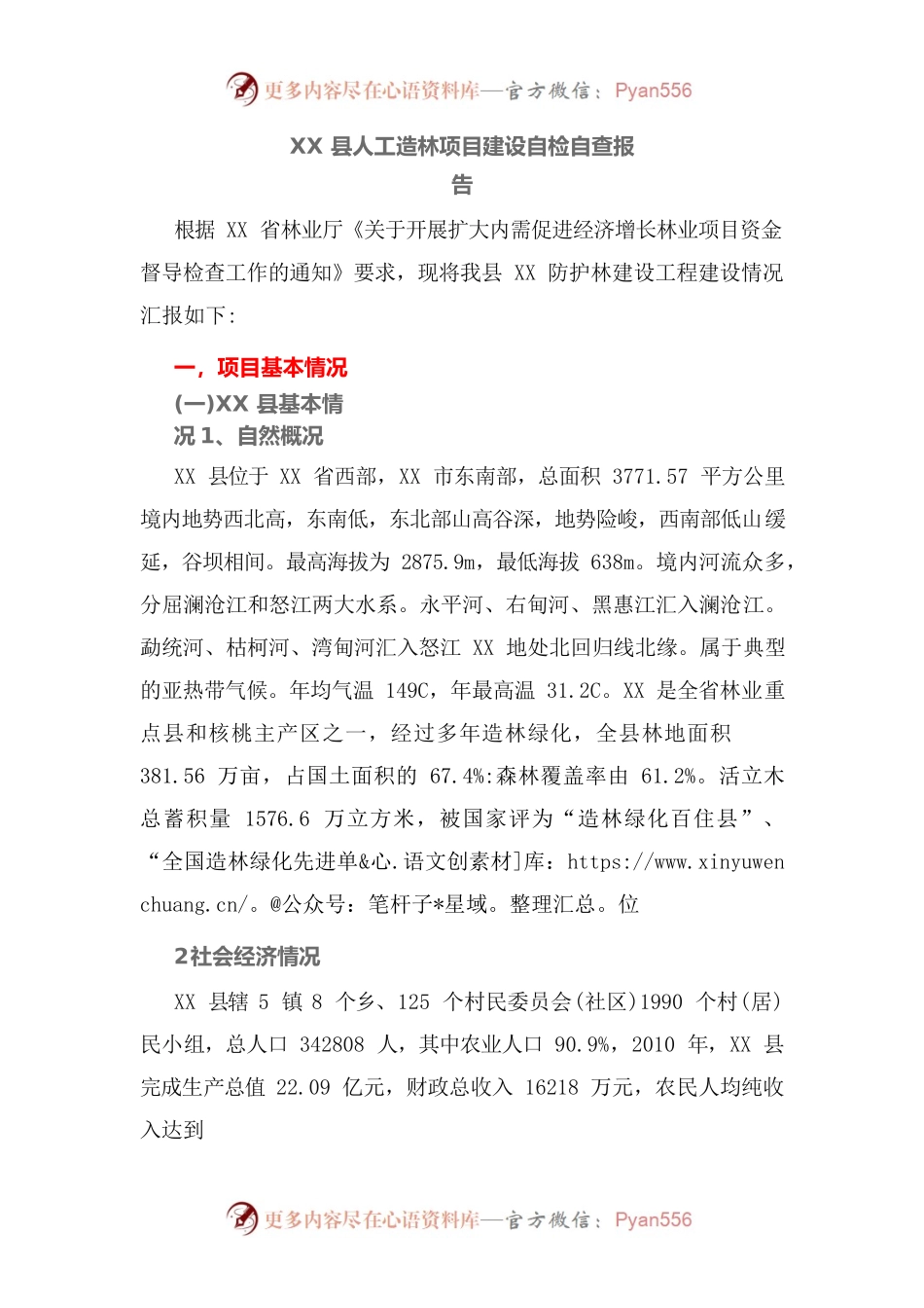 XX县人工造林项目建设自检自查报告.docx_第1页