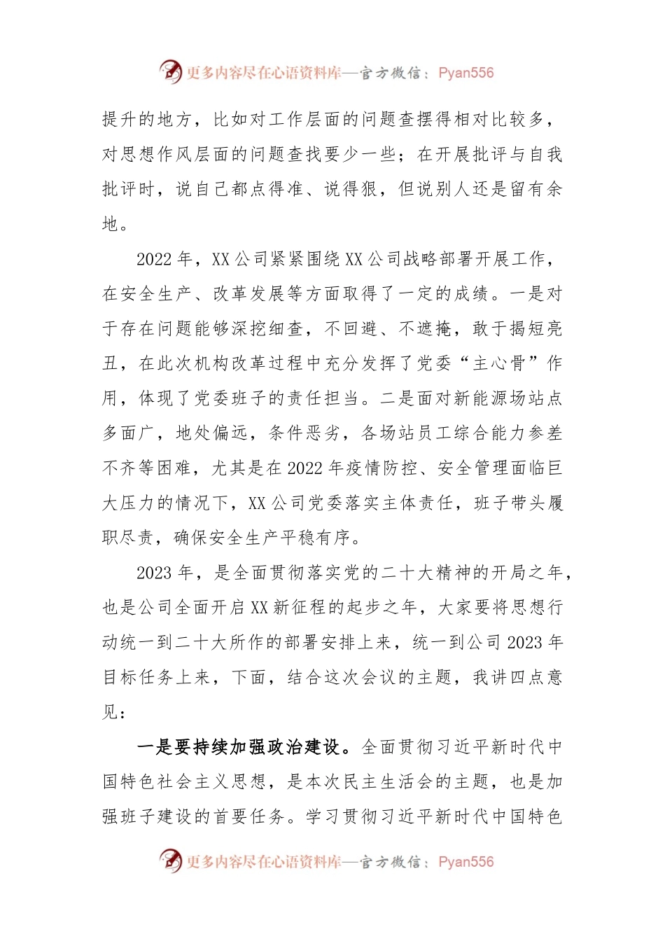 XX公司党员领导干部2022年度民主生活会上的讲话.docx_第2页