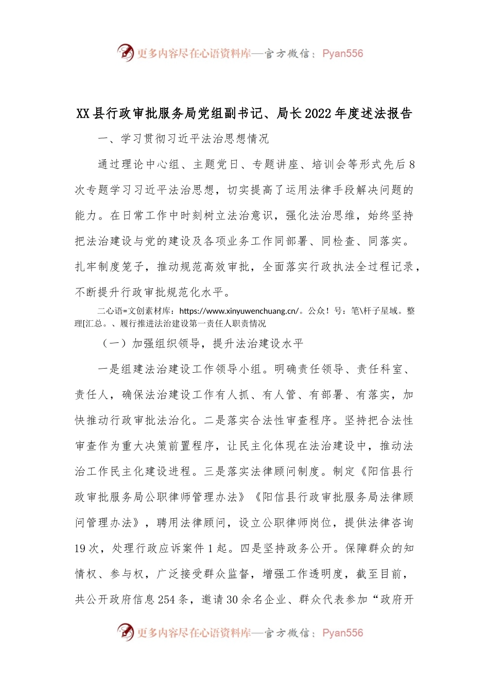 XX县行政审批服务局党组副书记、局长2022年度述法报告.docx_第1页