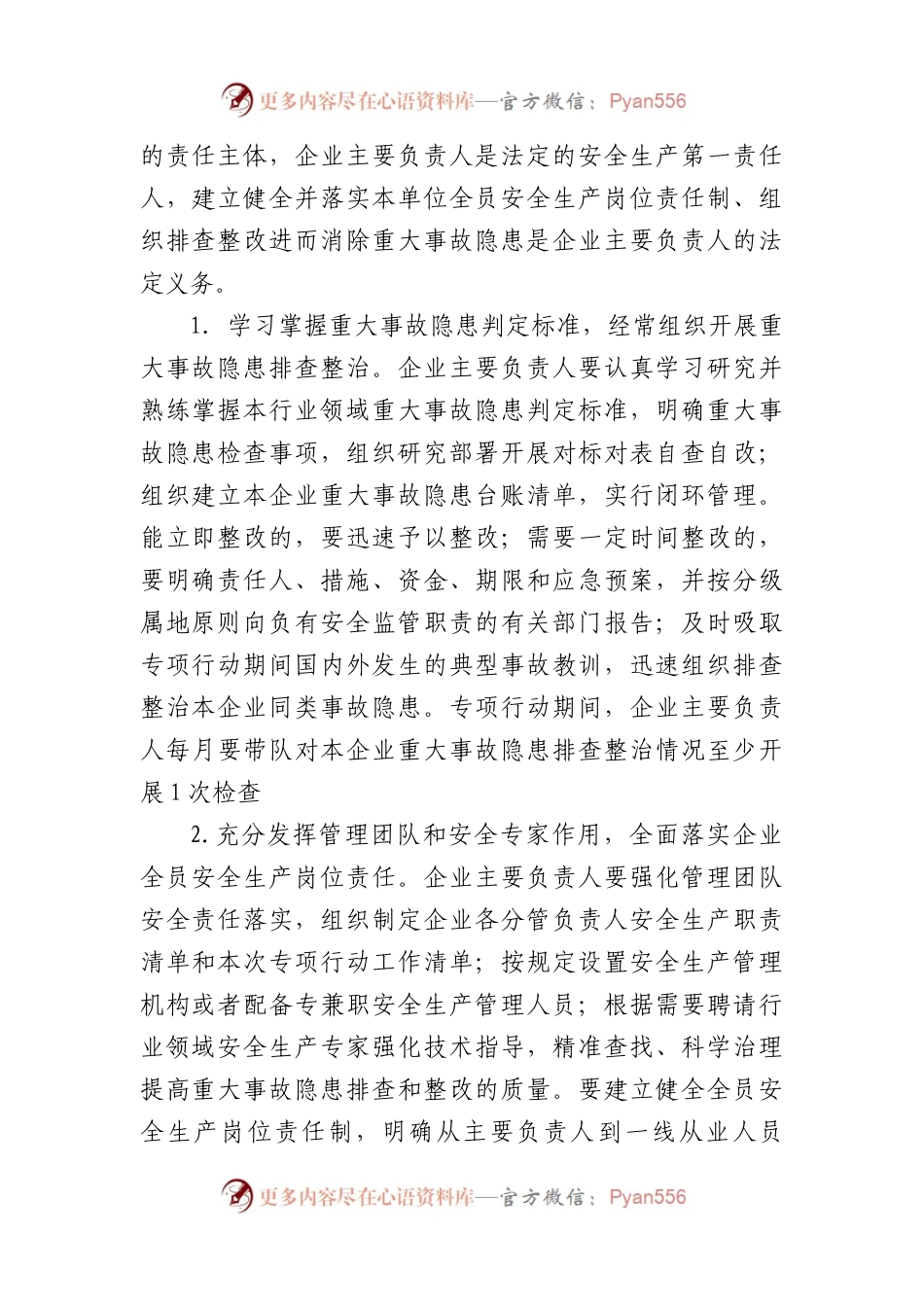 2023年市重大事故隐患专项排查整治行动实施方案.docx_第2页