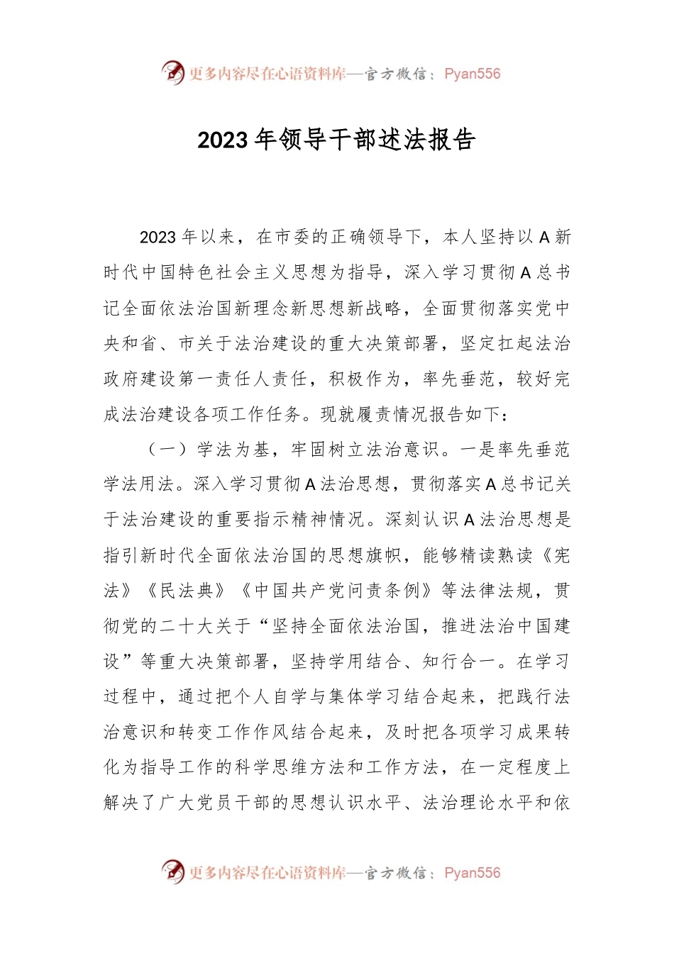 2023年领导干部述法报告.docx_第1页
