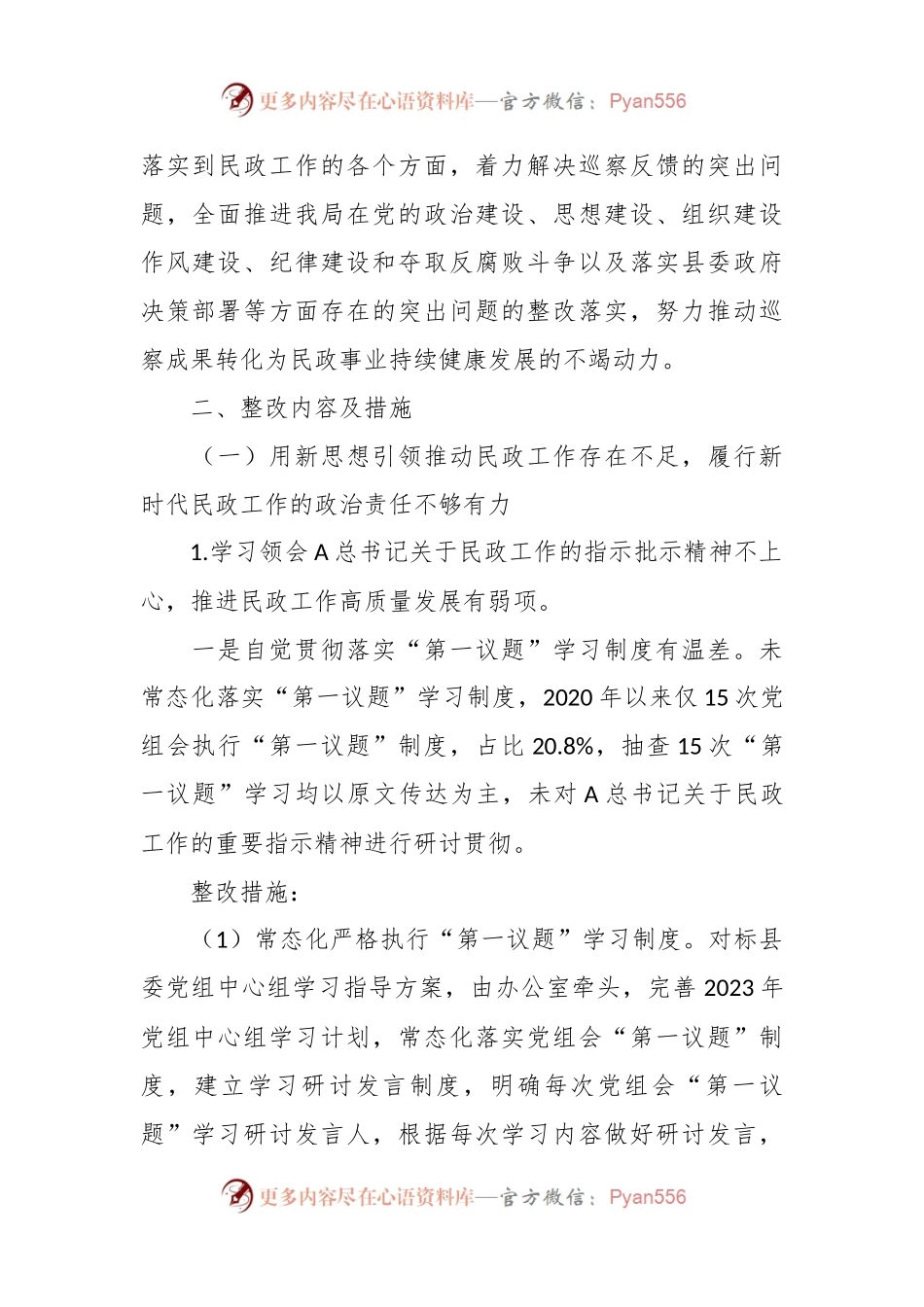 XX县民政局党组落实县委第一巡察组巡察反馈意见整改工作实施方案.docx_第2页
