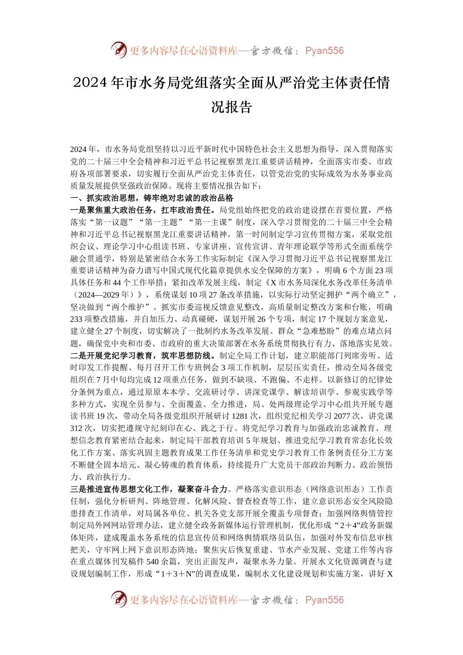 2024年市水务局党组落实全面从严治党主体责任情况报告.docx_第1页