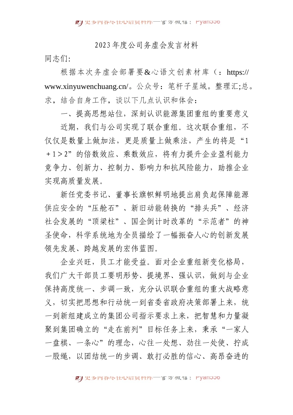 2023年度公司务虚会发言材料.docx_第1页