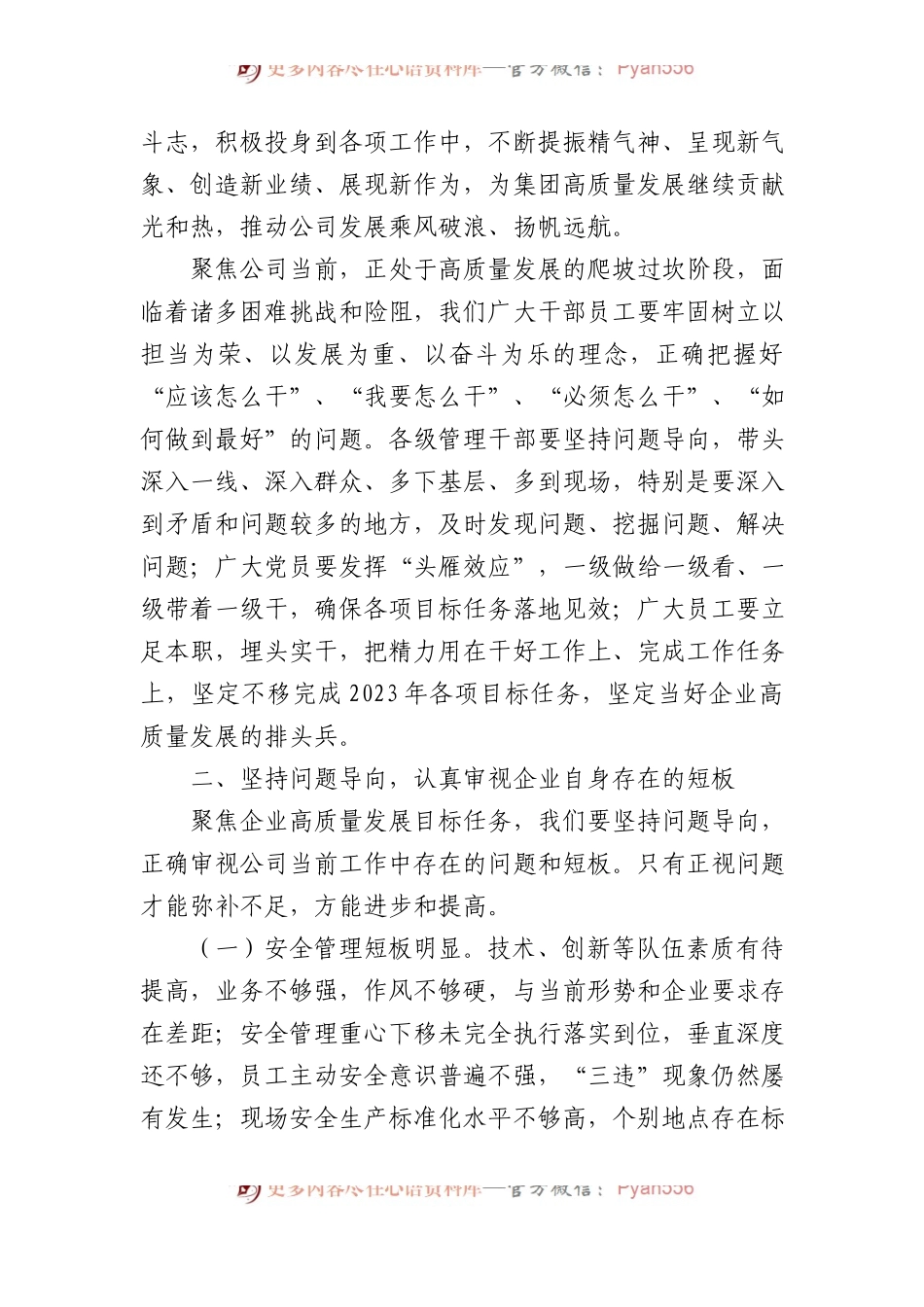 2023年度公司务虚会发言材料.docx_第2页