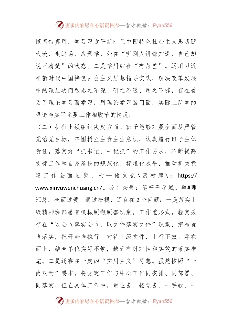 2023年度主题教育组织生活会支部班子发言稿.docx_第2页